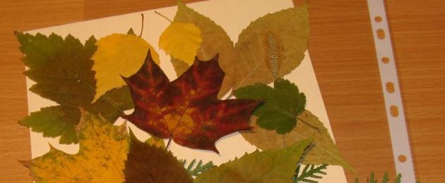 Кленовый лист из картона для садика. Поделки из листьев