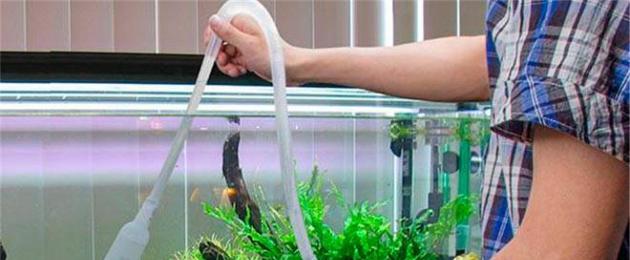 Меняют ли воду в встроенных аквариумах. А Вы знаете, как часто менять воду в аквариуме? Какой же вариант оптимален
