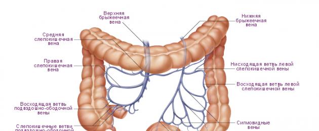 Arteria mesenterica superiore.  Sistema della vena porta