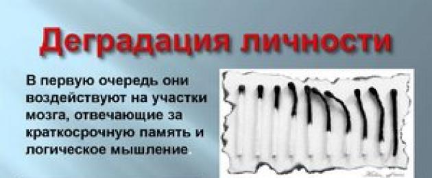 Полная деградация. Признаки деградированной личности человека: факторы влияния и способы как избежать этого