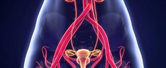 Come rimanere incinta con disfunzione ovarica.  Disfunzione ovarica: periodo riproduttivo, menopausa, come trattare e come rimanere incinta, rimedi popolari È possibile rimanere incinta con la disfunzione ovarica