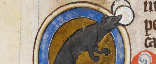 Come sono stati giudicati topi, maiali e altri animali.  Pazze storie medievali