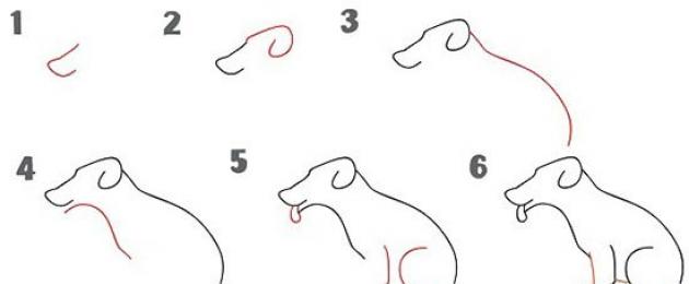 Лающая собака рисунок карандашом. Как нарисовать сидящую собаку карандашом поэтапно - пошаговое описание и рекомендации