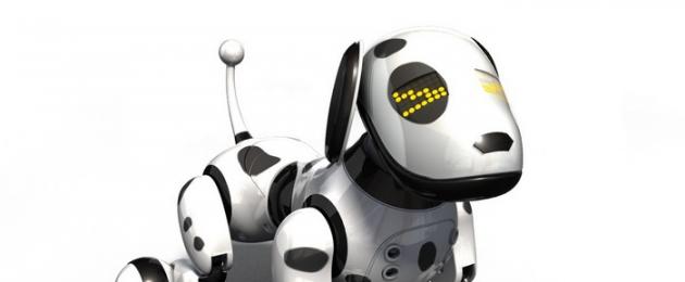 Как называются роботы похожие на животных. Роботы животные или биороботы