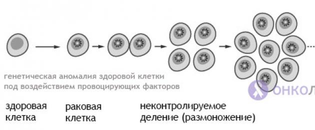 Основные свойства злокачественных опухолей. Понятие об опухоли