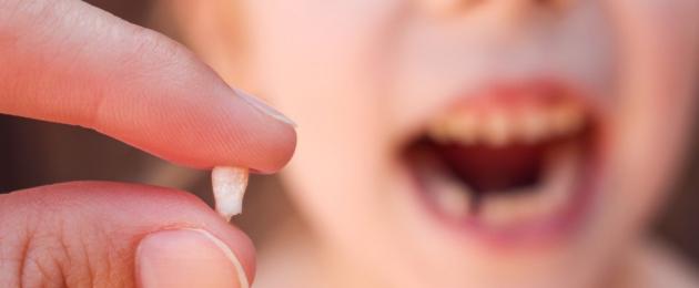 Интересные статьи про зубы. Некоторые интересные факты о наших с вами зубах