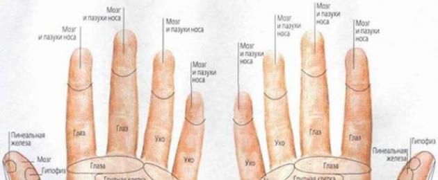 تدليك الأصابع لمختلف الأمراض والحالات.  لماذا تتخدر أصابعك وكيف تساعد نفسك؟