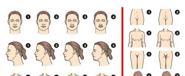 Что за болезнь оволосение у женщин. Уязвимый и неистребимый человеческий волос: структура, типы и жизненный цикл волос