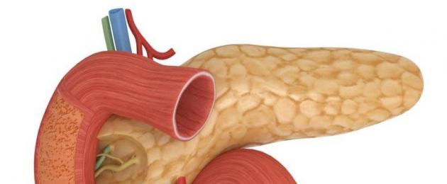 Что такое стеатоз поджелудочной железы