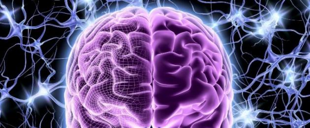 Факты и мифы о мозге человека. Самые интересные факты о головном мозге человека