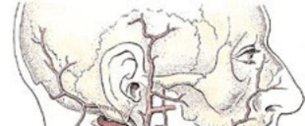 Uzdg من الأوعية داخل الجمجمة وخارج الجمجمة.  ماذا يظهر وكيفية عمل الصمامات الوعائية الدماغية
