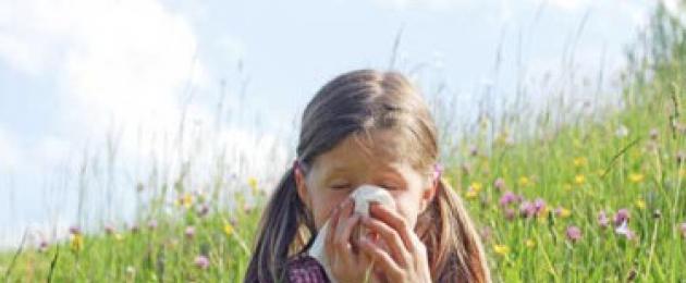 Allergeni respiratori.  Allergia respiratoria: cause, sintomi e trattamento