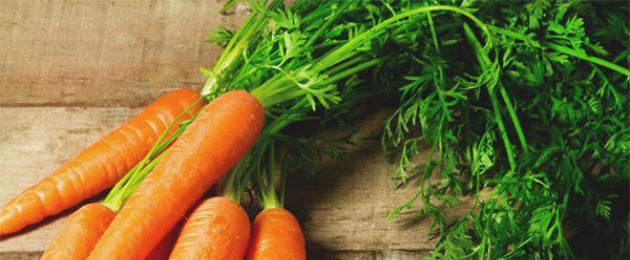 Польза морковной ботвы для организма человека. Видео: морковная ботва от варикоза