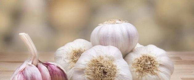 Qualità utili e dannose dell'aglio.  Aglio: effetto sul corpo, storia e ricette popolari