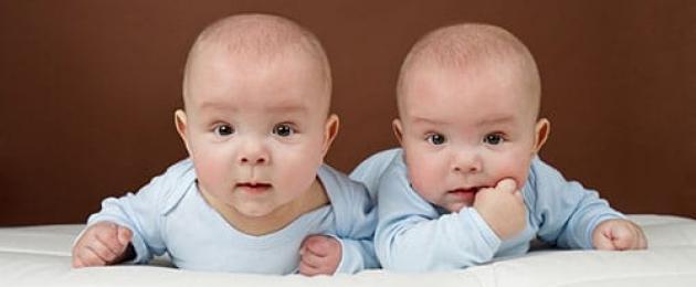 Беременной двойней во сне к. Значение сна и особенности двойняшек