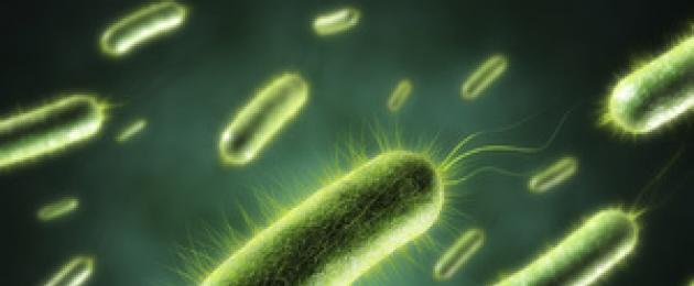اللاهوائيات الاختيارية هي كائنات دقيقة...  البكتيريا اللاهوائية للكائنات الحية