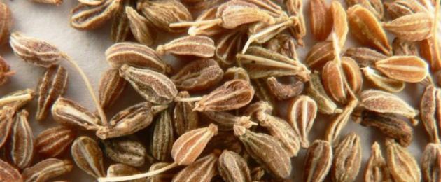 Анис – ароматные семена с лечебными свойствами. Что делает семена аниса полезной приправой и лечебным средством