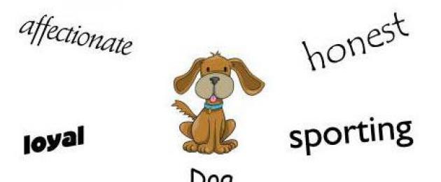 Cosa significa l'anno del cane?  Anno del Cane secondo l'oroscopo cinese: cani leali, giusti e molto vulnerabili innamorati, nell'amicizia e nel matrimonio