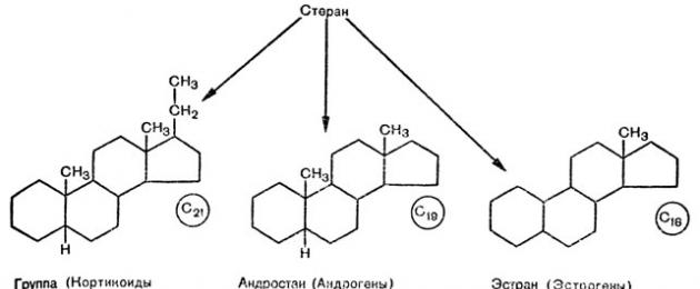 Схема синтеза стероидных гормонов из холестерина. Гормоны репродуктивной функции