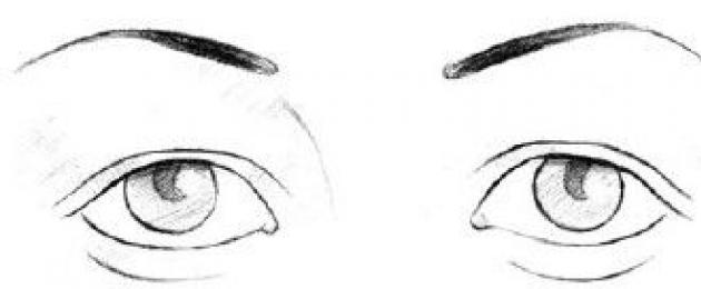 Физиогномика: читаем человека по форме глаз. Что ваши глаза скажут о вас