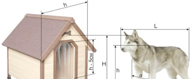 Come isolare una cabina per un cane: requisiti per l'isolamento.  L'uso di feltro, lana minerale, polistirolo espanso, isolamento in rotoli