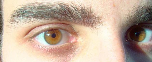 Факты про цвет ваших глаз, которые вы не знали. Цвет глаз человека: психология
