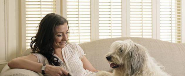 القيح من فتحة الشرج في الكلب.  التهاب الشرج في الكلب: ملامح المرض وطرق العلاج