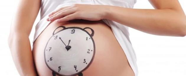 Quando puoi rimanere incinta dopo il parto?  Tempi e rischi di una nuova gravidanza dopo il parto