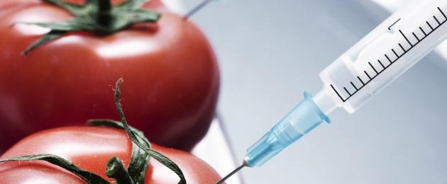 Cosa significa OGM.  Che cosa sono gli OGM: una minaccia per la salute o per il futuro del pianeta