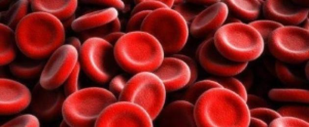 Tabella delle norme per gli esami del sangue.  Cosa mostra un esame del sangue generale: interpretazione, norma
