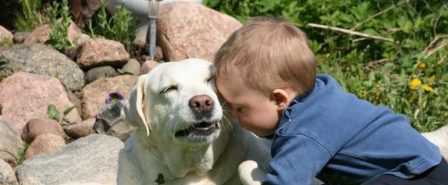 Come insegnare a un bambino a gestire correttamente un cane.  Cosa fare se il bambino ha paura dei cani?  Problemi comuni a cani e bambini