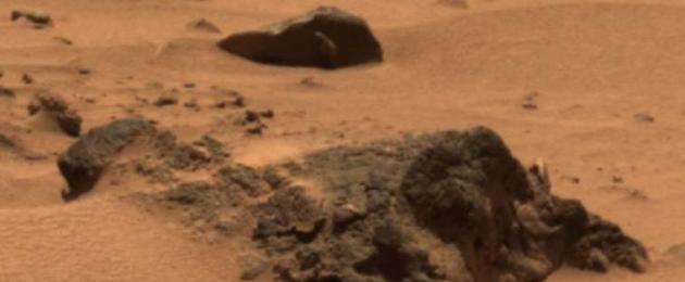 На марсе нашли стадо животных неизвестного происхождения. Парейдолия: лица на Земле, животные на Марсе и другие иллюзии зрения