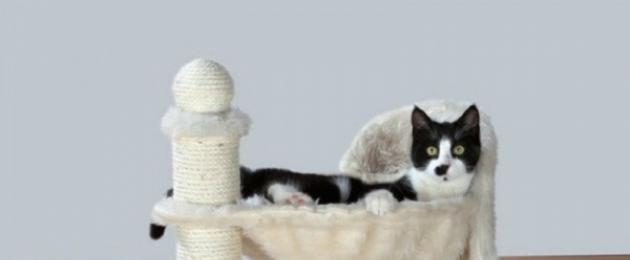 Дом для кошки чертежи. Домик или лежанка для кошки своими руками (55 фото): простые идеи