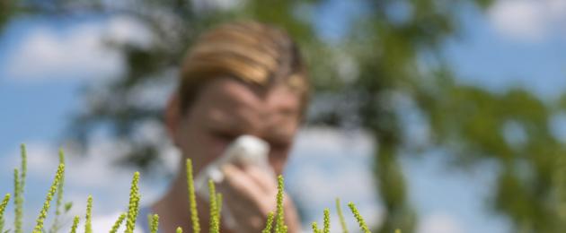  Осенний поллиноз: как быть и что делать аллергикам в августе