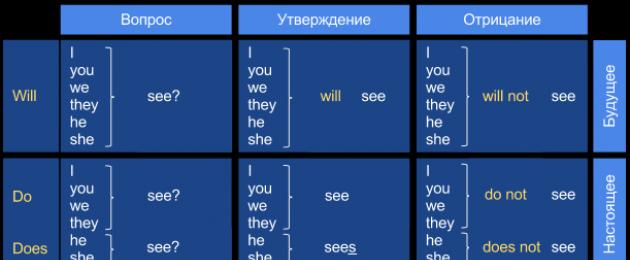 Петров дмитрий английский за 16 часов. Возможности приложения