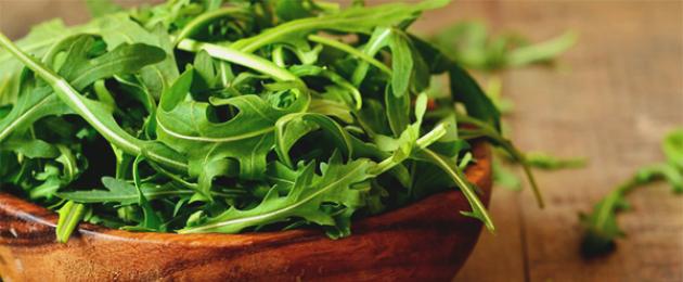 Все о салате руккола: полезные и вредные свойства. Рукола: полезные свойства и противопоказания
