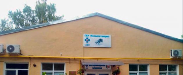 Clinica veterinaria statale del distretto orientale.  Distretto amministrativo nordoccidentale