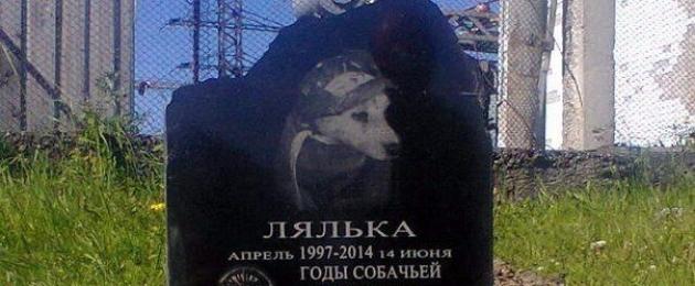 Кузбасские шахтеры установили памятник собаке-горняку. Собака Лялька, которой благодарные шахтёры установили памятник Памятник шахтерской собаке ляльке