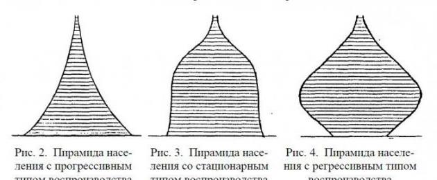 Analisi della piramide del sesso e dell'età della Russia.  Piramide del genere e dell'età Quale definizione del concetto di piramide dell'età e del sesso è corretta