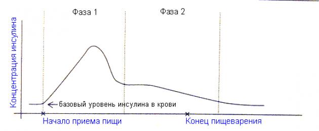 Время есть: как похудеть к лету, ни в чем себя не ограничивая? Что мы сделали, чтобы не похудеть к лету. 