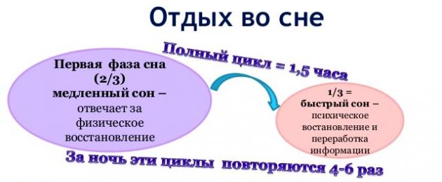 Фаза медленного сна у человека сопровождается. Открытие и дальнейшие исследования