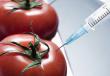 Cosa sono gli OGM: una minaccia per la salute o per il futuro del pianeta