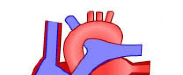Come calcolare il volume sistolico del cuore.  Gittata sistolica e cardiaca