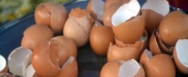 Guscio d'uovo come fonte ideale di calcio.  Come preparare la polvere di guscio d'uovo: fonte naturale di calcio