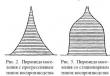 Piramide del sesso e dell'età Quale definizione del concetto di piramide dell'età e del sesso è corretta?