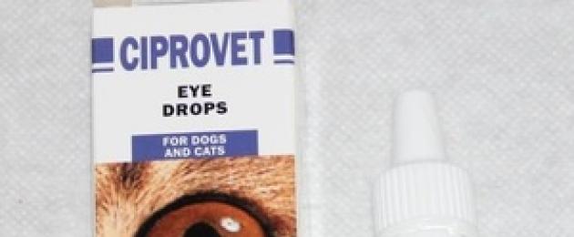 Капли для глаз животным с ципрофлоксацином. Инструкция по применению и отзывы на ципровет для собак