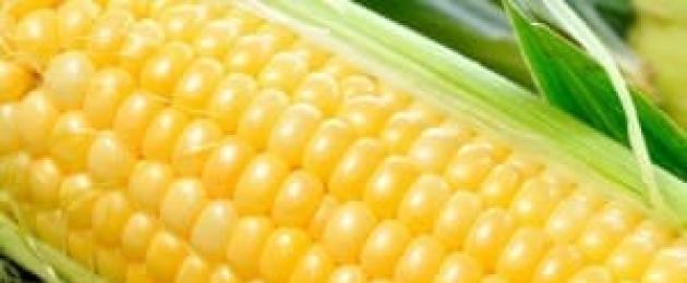 Полезна ли кукурузная. Чем полезна вареная кукуруза для женщин и мужчин