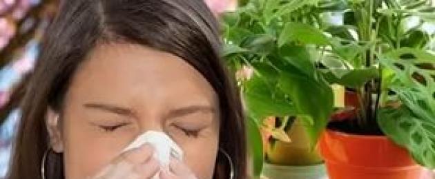 Аллергия. Как лечить аллергию дома народными средствами