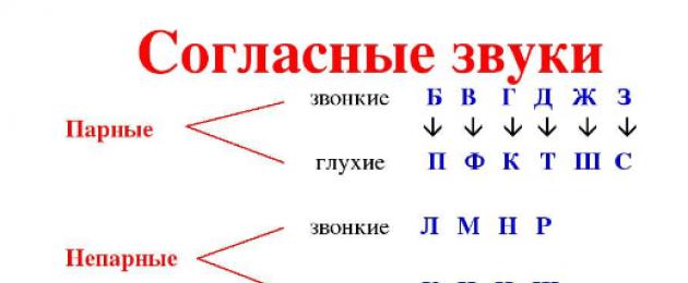 Буквы парные и непарные звонкие и глухие таблица картинки