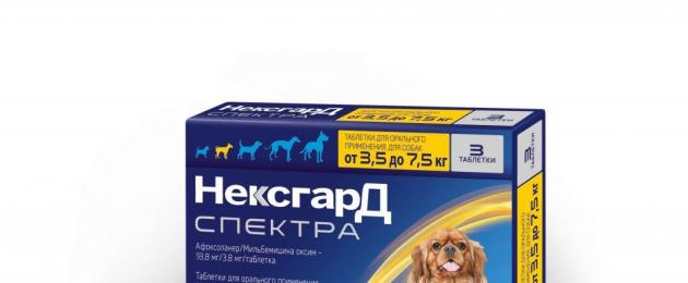 Таблетки от клещей: Симпарика, НексгарД Спектра и Бравекто. Жевательные таблетки Нексгард Спектра – защита собаки от паразитов I